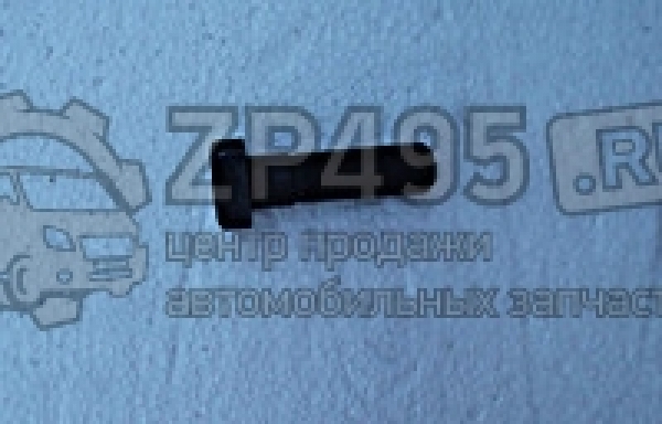 : 6501404 0014649     /   31105 . (, ,,,,, , NEXT, NEXT) volgograd.zp495.ru