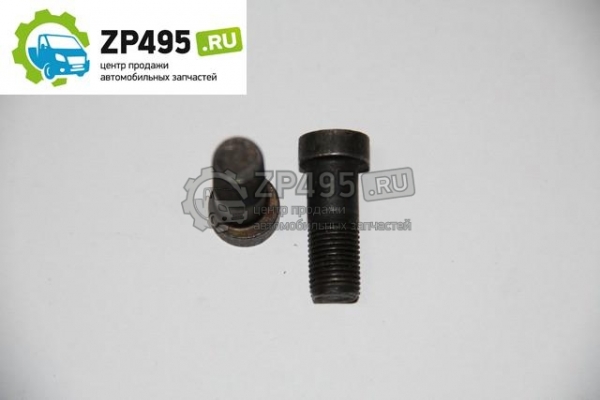 : 242403034 0005582  10*28/26*1  .    3110 volgograd.zp495.ru