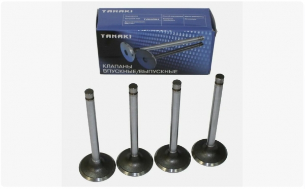 : TKG100701560 0003214   -2410,  Next .EvoTech 2.7 (939)  4.   (, ,,,,, , NEXT, NEXT) volgograd.zp495.ru