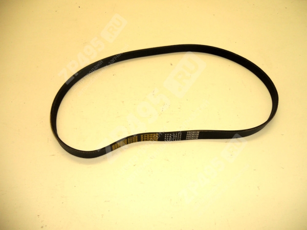 : 6PK1220 0015204  1220 DARWIN PLUS   /406-1308020-11/ (, ,,,,, , NEXT, NEXT) volgograd.zp495.ru