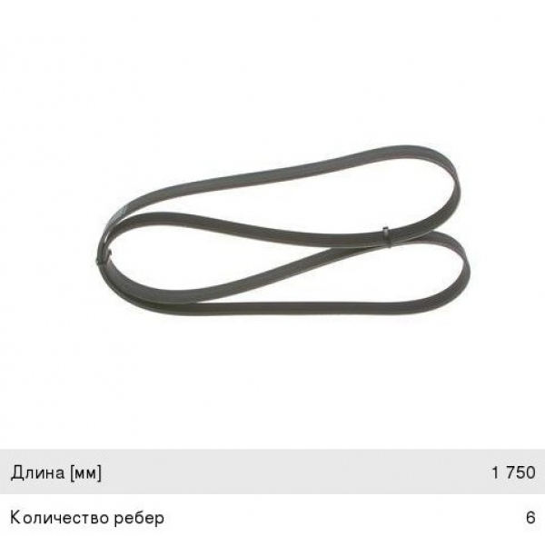: 6PK1750 0015288   -31105,  .  (6PK-1750) DARWIN (, ,,,,, , NEXT, NEXT) volgograd.zp495.ru