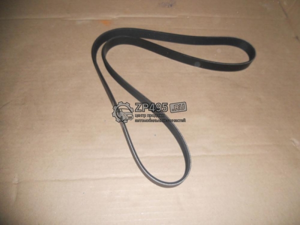 : 6PK1751 0015291   -31105,  .  (6PK-1751) HANSE (, ,,,,, , NEXT, NEXT) volgograd.zp495.ru