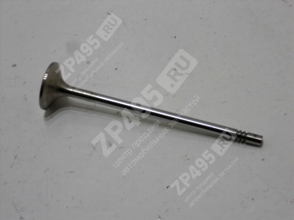 : 53401007012 0021201      next .-5344 -4 (, ,,,,, , NEXT, NEXT) volgograd.zp495.ru