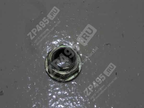 : 33022402038 0033386   / -3302,  Next    (, ,,,,, , NEXT, NEXT) volgograd.zp495.ru