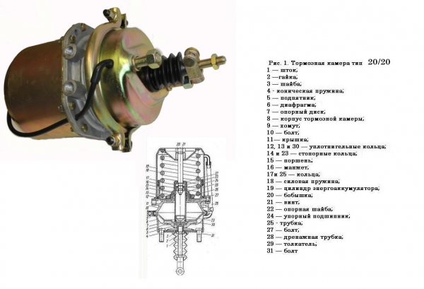: 100351910010 0038216   20/20    volgograd.zp495.ru