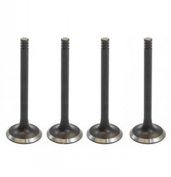 : A2743906597 0062098   -2410,  Next .EvoTech 2.7 (939)  4. ( ) (, ,,,,, , NEXT, NEXT) volgograd.zp495.ru